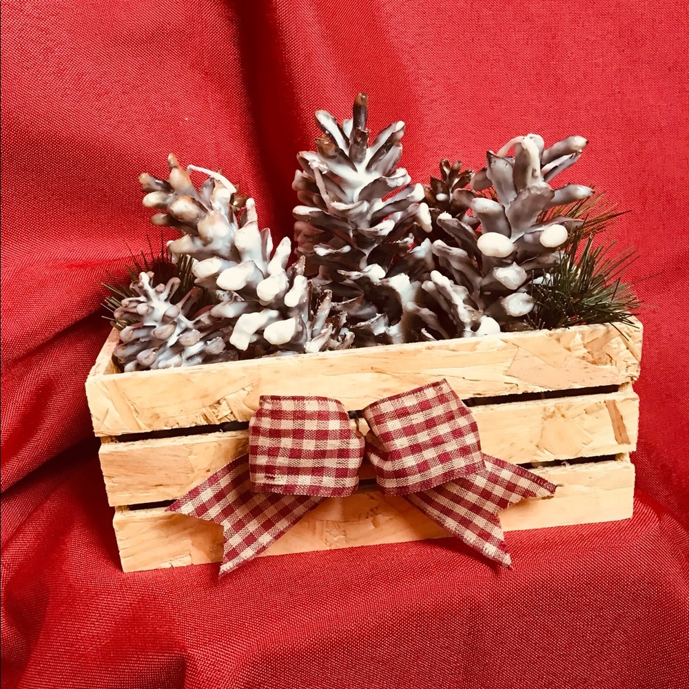 Pinecones fire starter basket